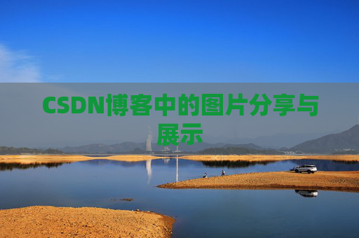 CSDN博客中的图片分享与展示